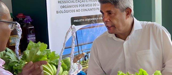 O governador Jerônimo Rodrigues visitou o projeto Semeando a Liberdade no Bahia Farm Show e conheceu de perto as iniciativas de ressocialização e produção de hortaliças orgânicas na unidade prisional.